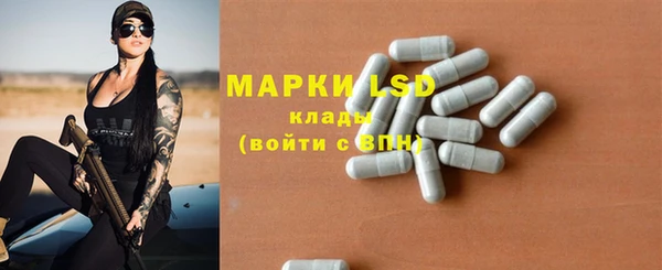 ПСИЛОЦИБИНОВЫЕ ГРИБЫ Пересвет