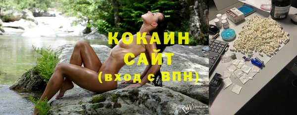 ПСИЛОЦИБИНОВЫЕ ГРИБЫ Пересвет