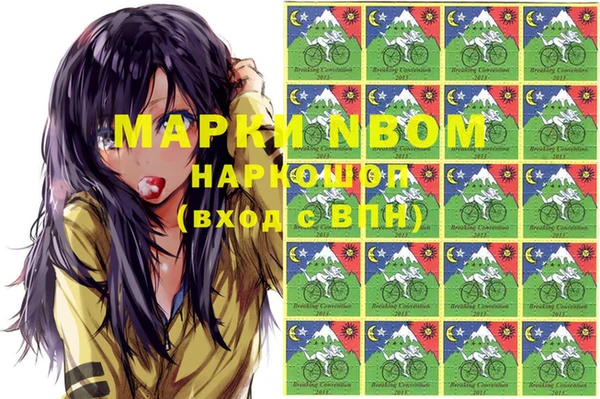 ПСИЛОЦИБИНОВЫЕ ГРИБЫ Пересвет